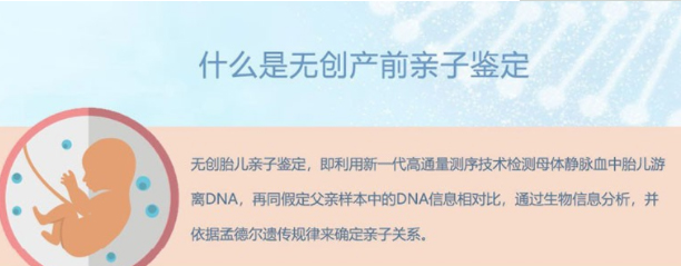 漳州怀孕期间怎么鉴定孩子是谁的,漳州胎儿亲子鉴定需要多少钱